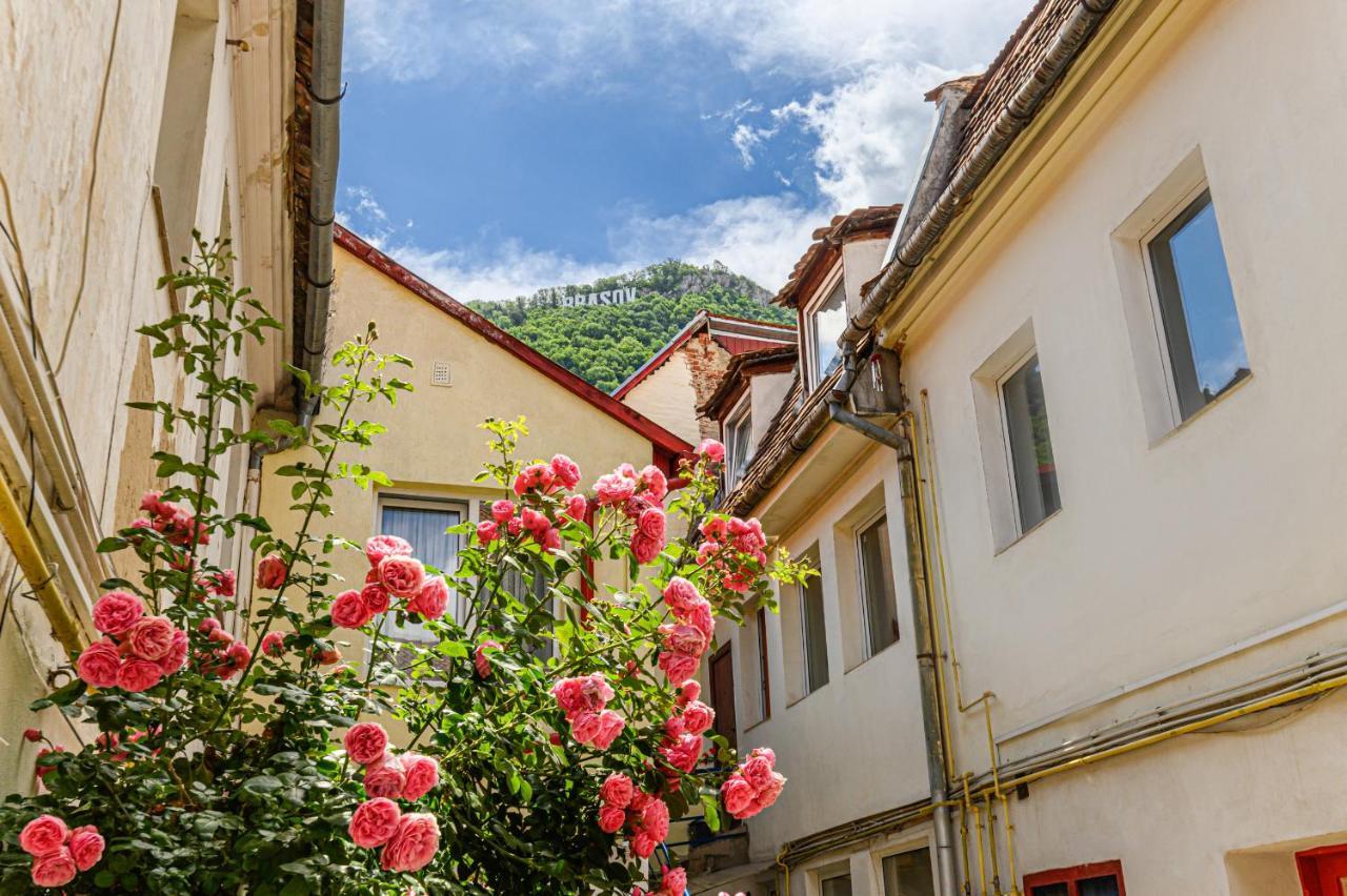 Sun x Mountains - Strada Sforii Apartment Brasov Bagian luar foto